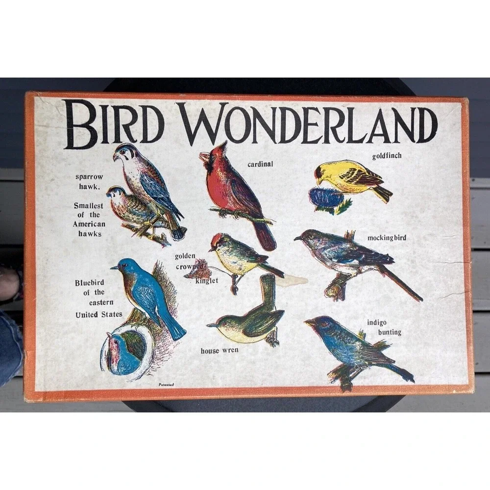 Vintage Child Welfare Publishers Bird Wonderland puzzle game color 1940's